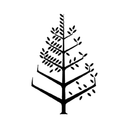 Four Seasons Hotel Silicon Valley at East Palo Alto Logo